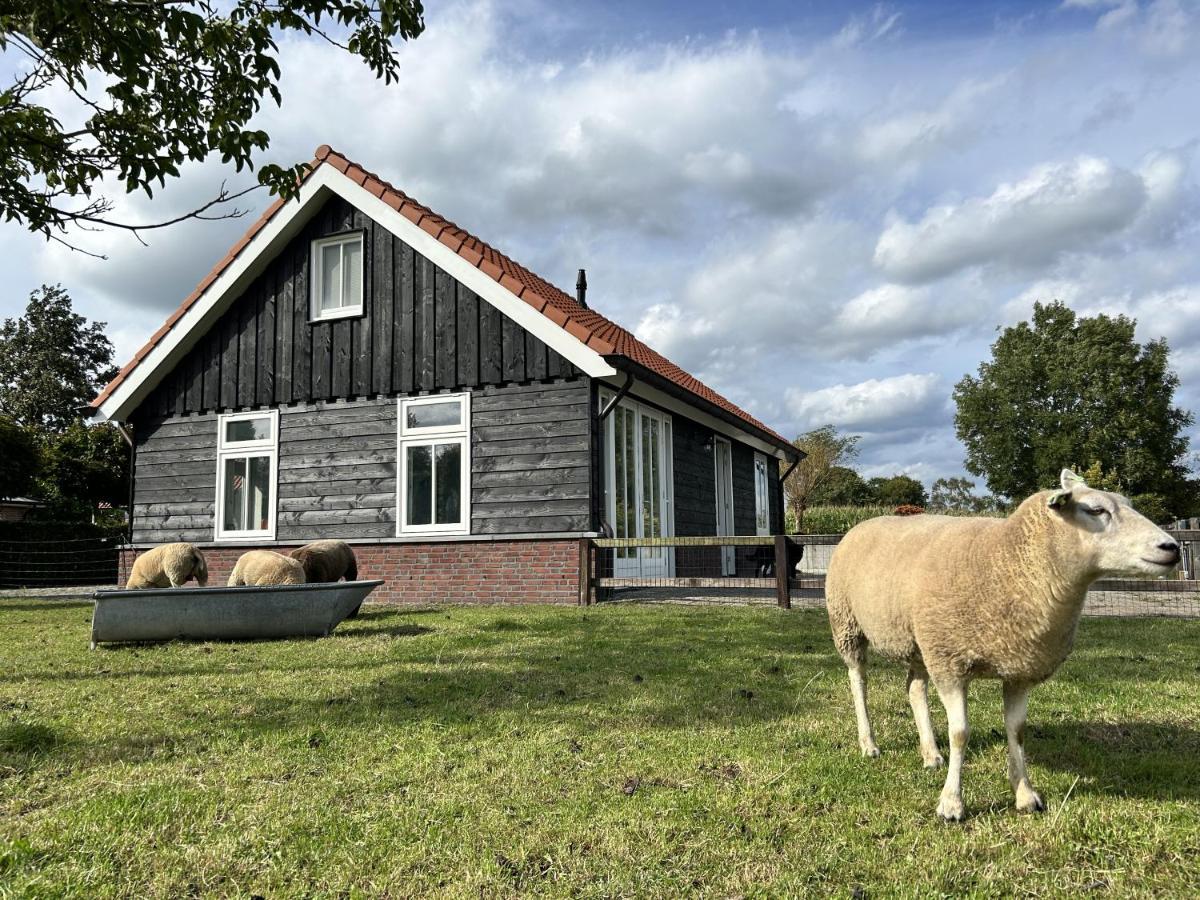 Geldersche Tuin 6 Persoons Villa Emst Bagian luar foto